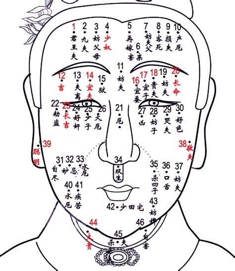 下腹部有痣|痣与命运的关系之腹部痣相图解大全